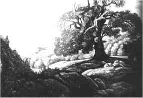 nach Carosfeld