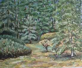 Wald in D&auml;nemark